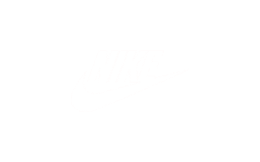 13. Nike (1)